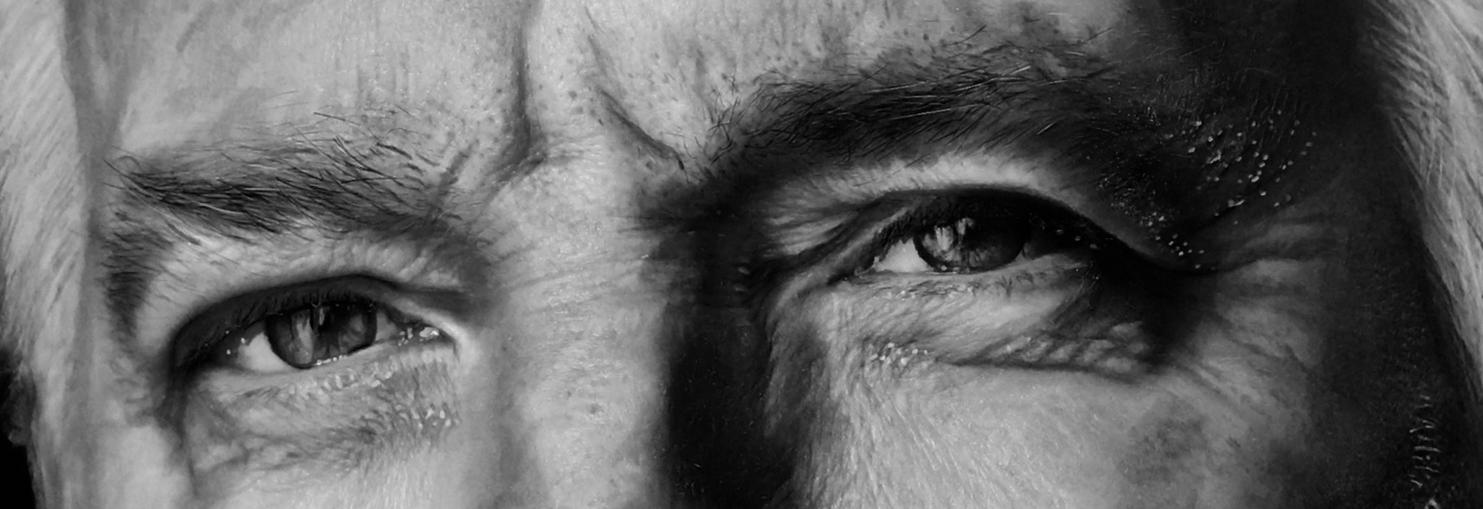 Alan Rickman detail 2
