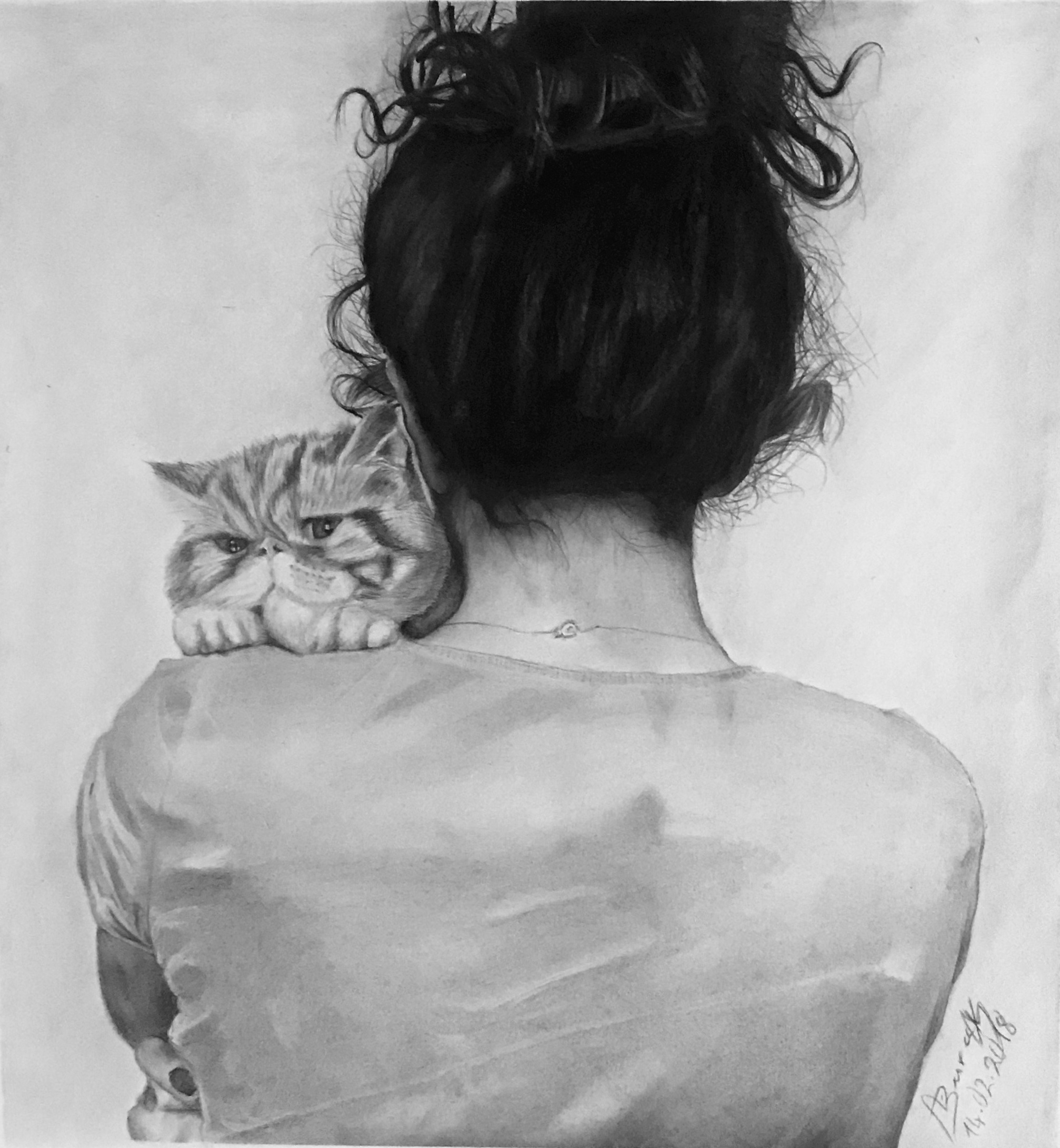 A cat detail 1