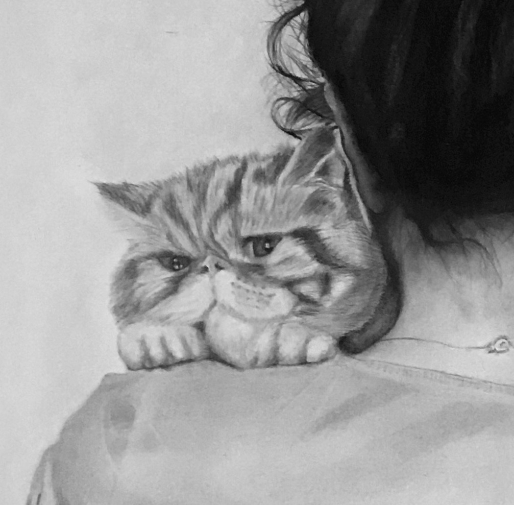 A cat detail 2