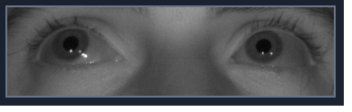 Scientific research visual